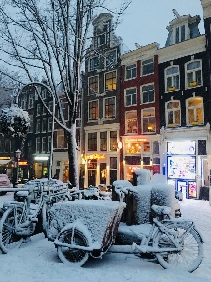 Manikomio Bed & Breakfast Amsterdam Ngoại thất bức ảnh